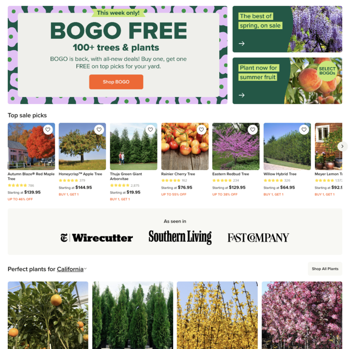 Ecommerce Marketing Success with Fast Growing Trees